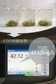 cod降解后水样