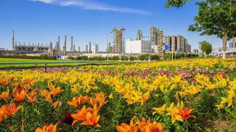 分散剂与分散液：价格差异背后的奥秘**