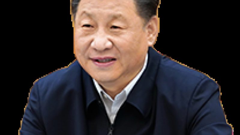 瓷砖胶粘剂：揭秘报价单背后的技术参数